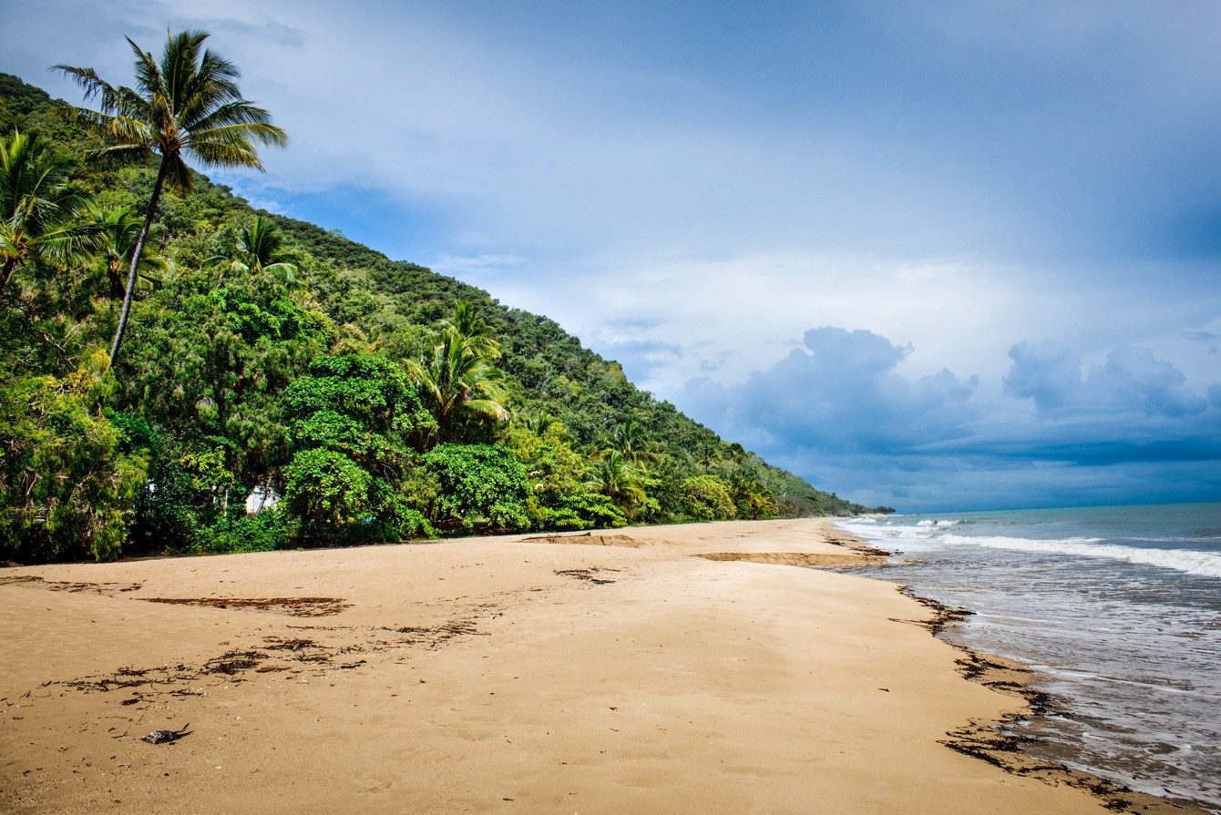 Guide to Visiting Daintree National Park, Where the Rainforest Meets the Reef