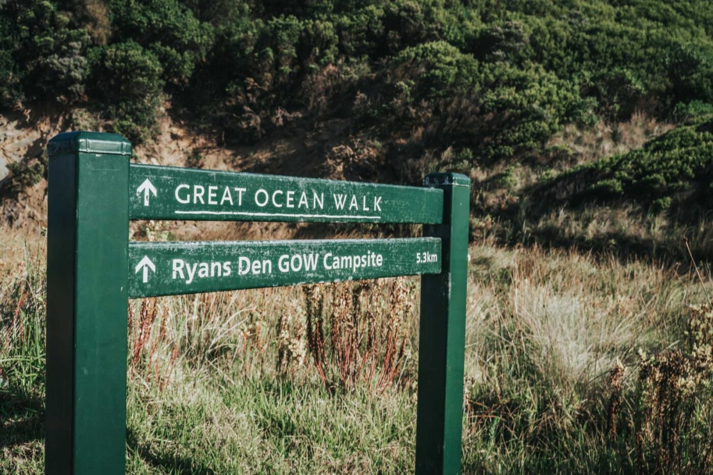 Australia Great Ocean Road walk 05088