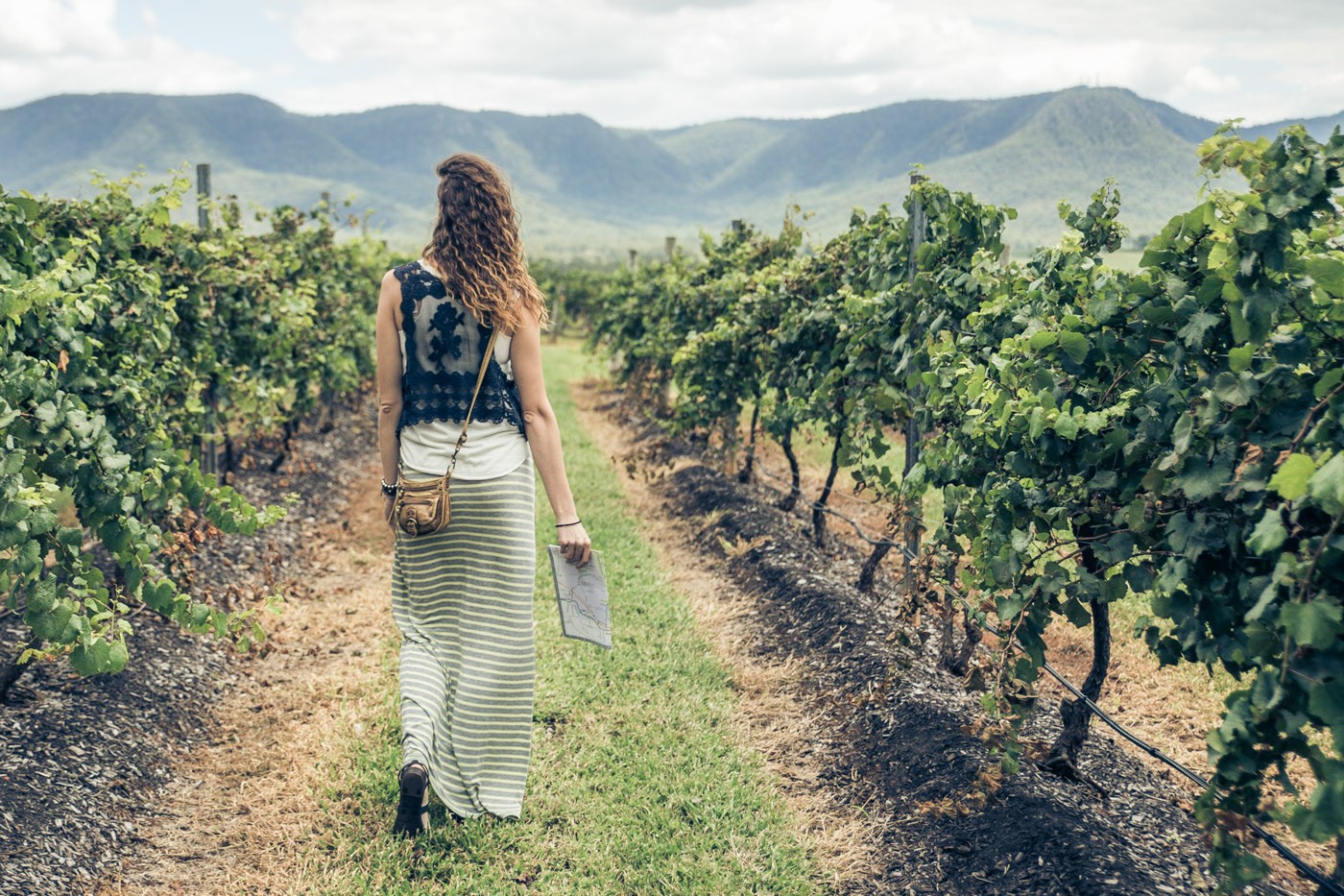 Why Hunter Valley is My Favourite Wine Region in Australia. Cover Photo