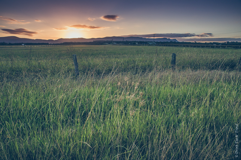 Pulled over on the side of the road for this stunning sunset in the Hunter Valley