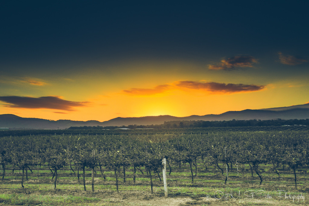 Sunset in Hunter Valley, NSW Australia, wine regions in Australia