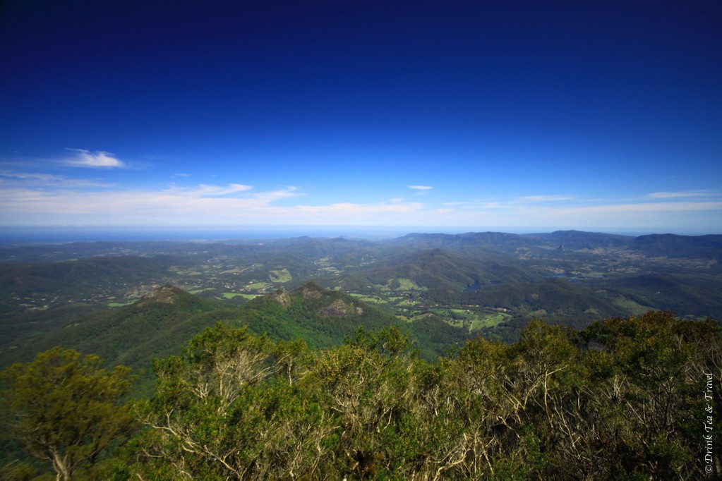 View from the top of Mt Warning, New South Wales