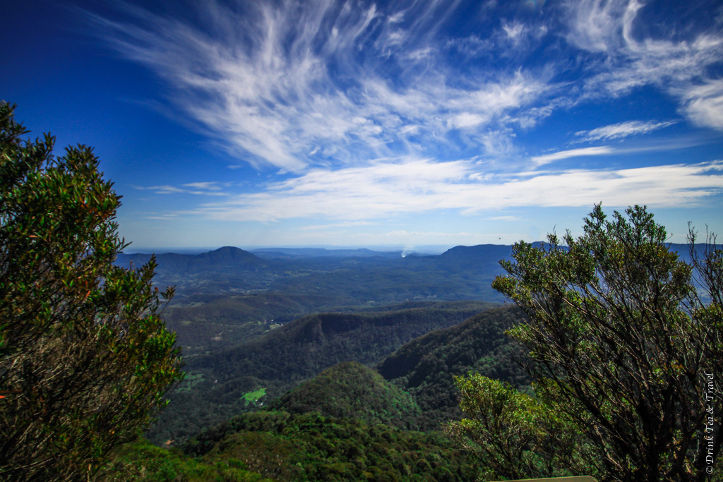 Stunning views from the top. Mt. Warning, Queensland, Australia