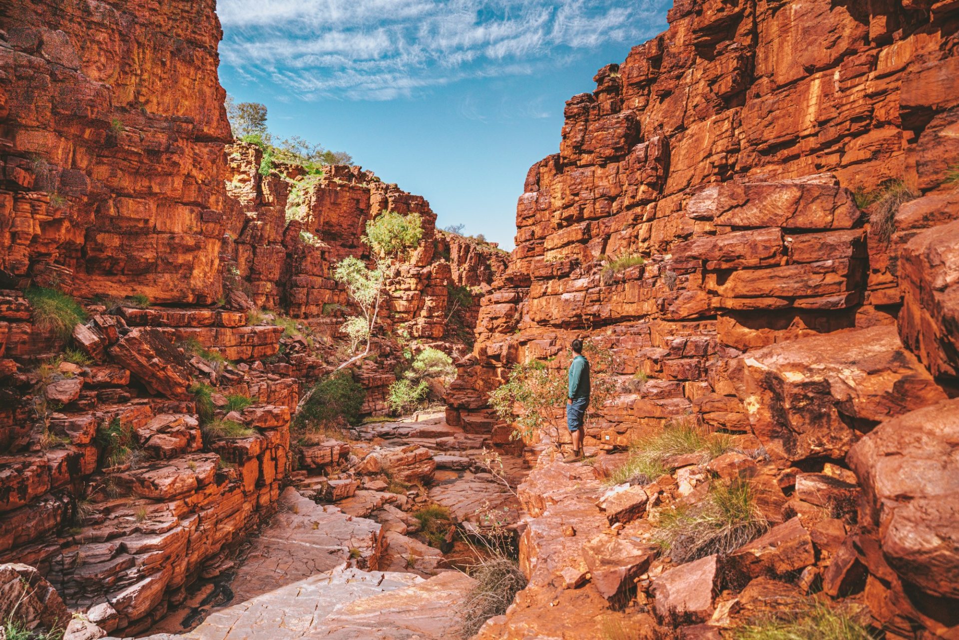 Max at John Hayes Rockhole, MacDonnell Ranges