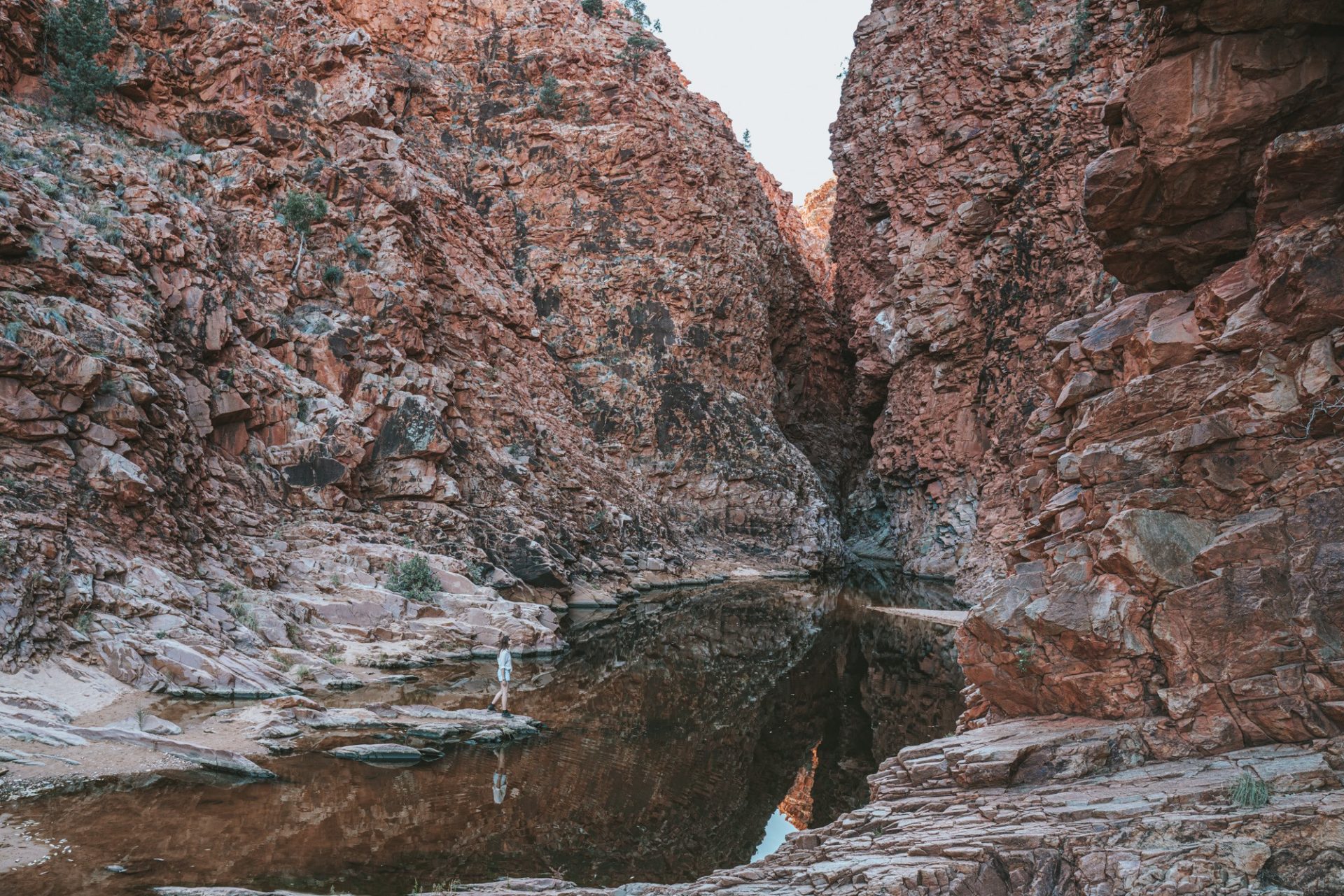 Red Bank Gorge, West MacDonnell ranges