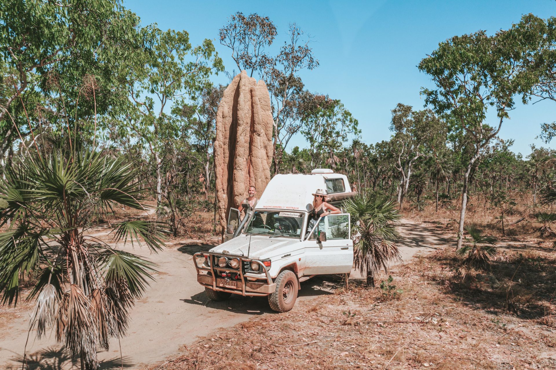 Termite mound in Litchfield National Park