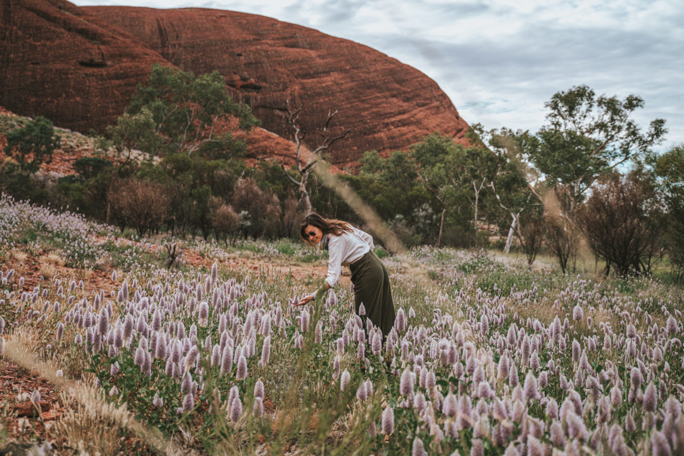 Wildflowers in Uluru