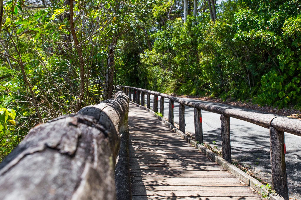 Start of the Coastal Walk in Noosa National Park