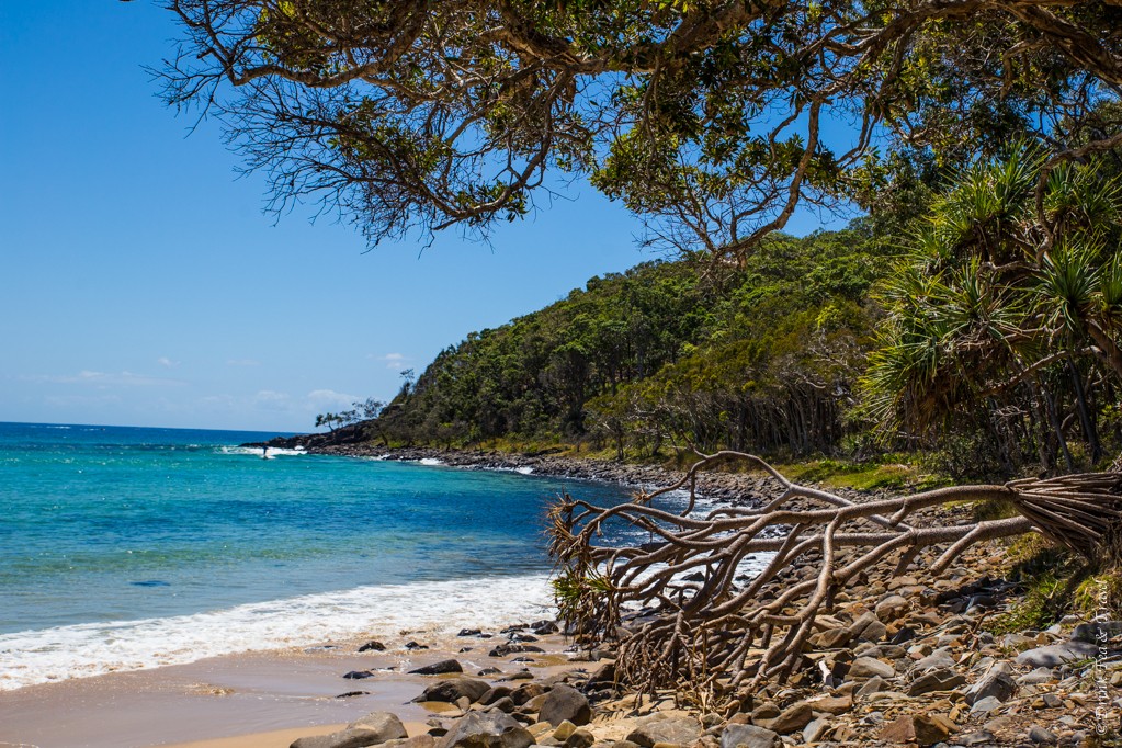 Winch Cove, Noosa National Park