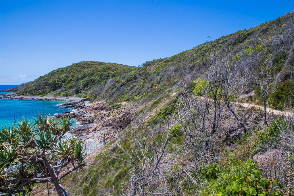 Picnic Cove, Noosa National Park