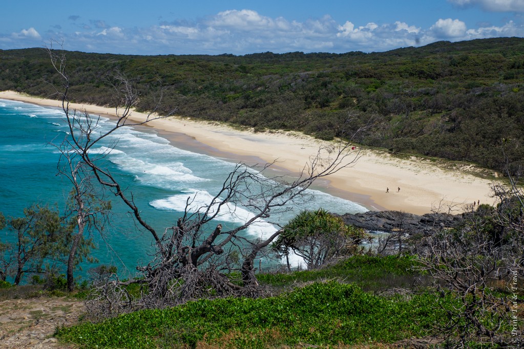 View of Alexandria Bay from Hell's Gates, Noosa National Park