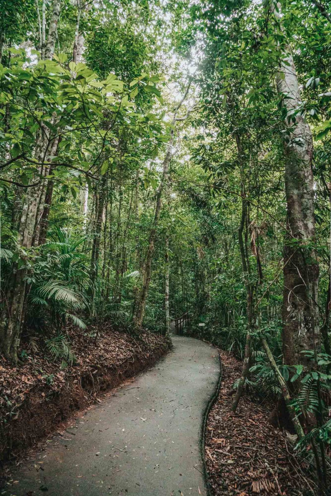 besøg Atherton Tablelands nær Cairns, Australien