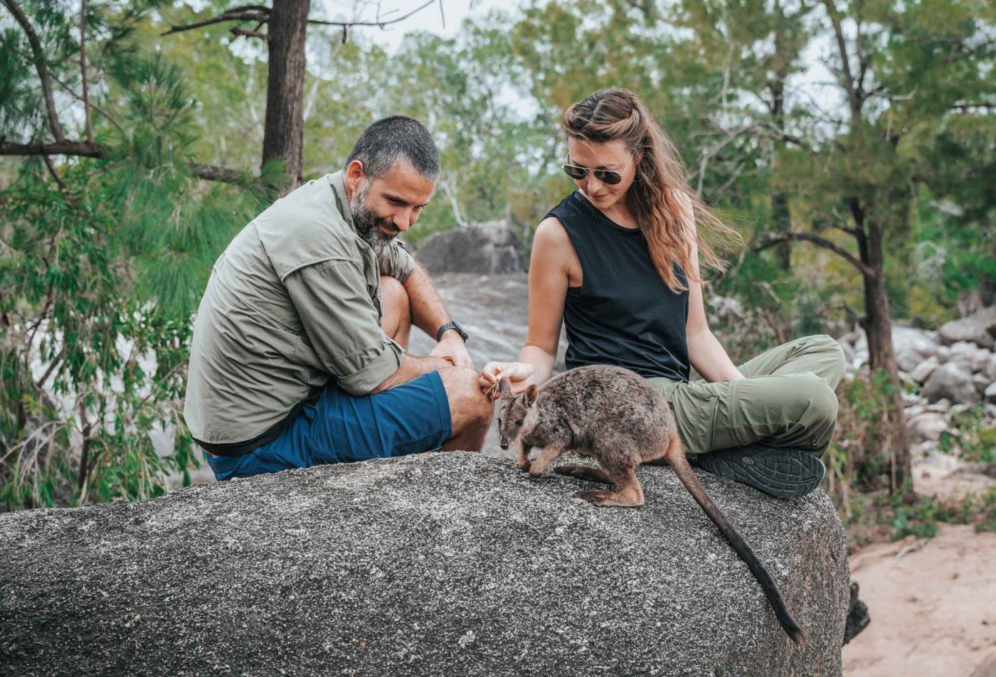 Hanging out with a wallaby at the Granite Gorge Nature Park in Atherton Tablelands