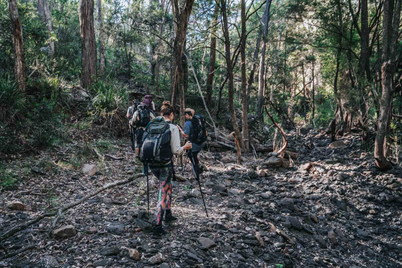 Scenic Rim Trail & Mount Mitchell in Queensland, Australia