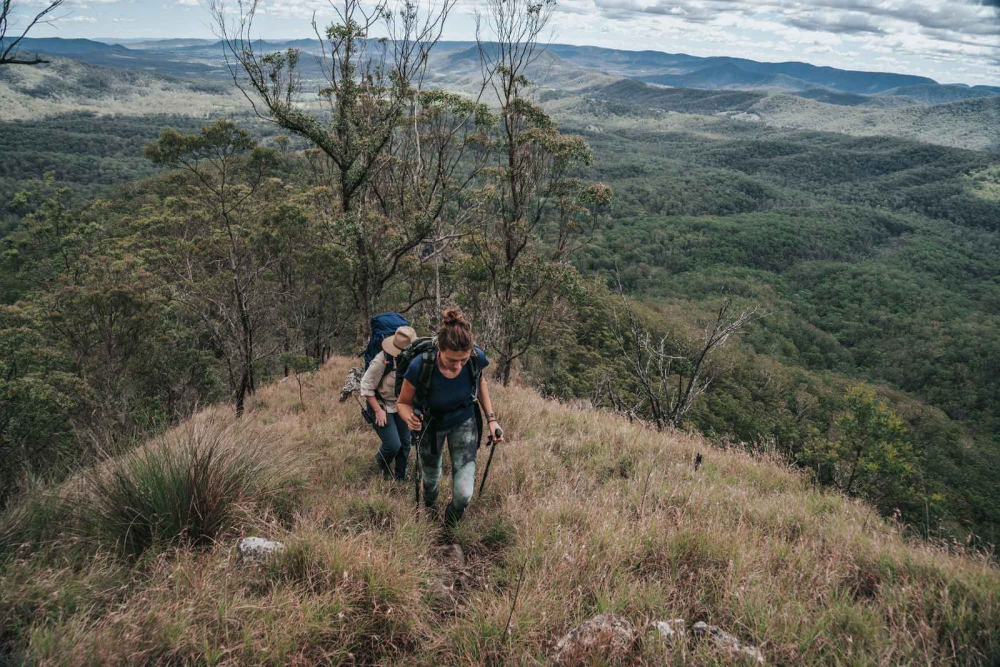 Scenic Rim Trail & Mount Mitchell in Queensland, Australia