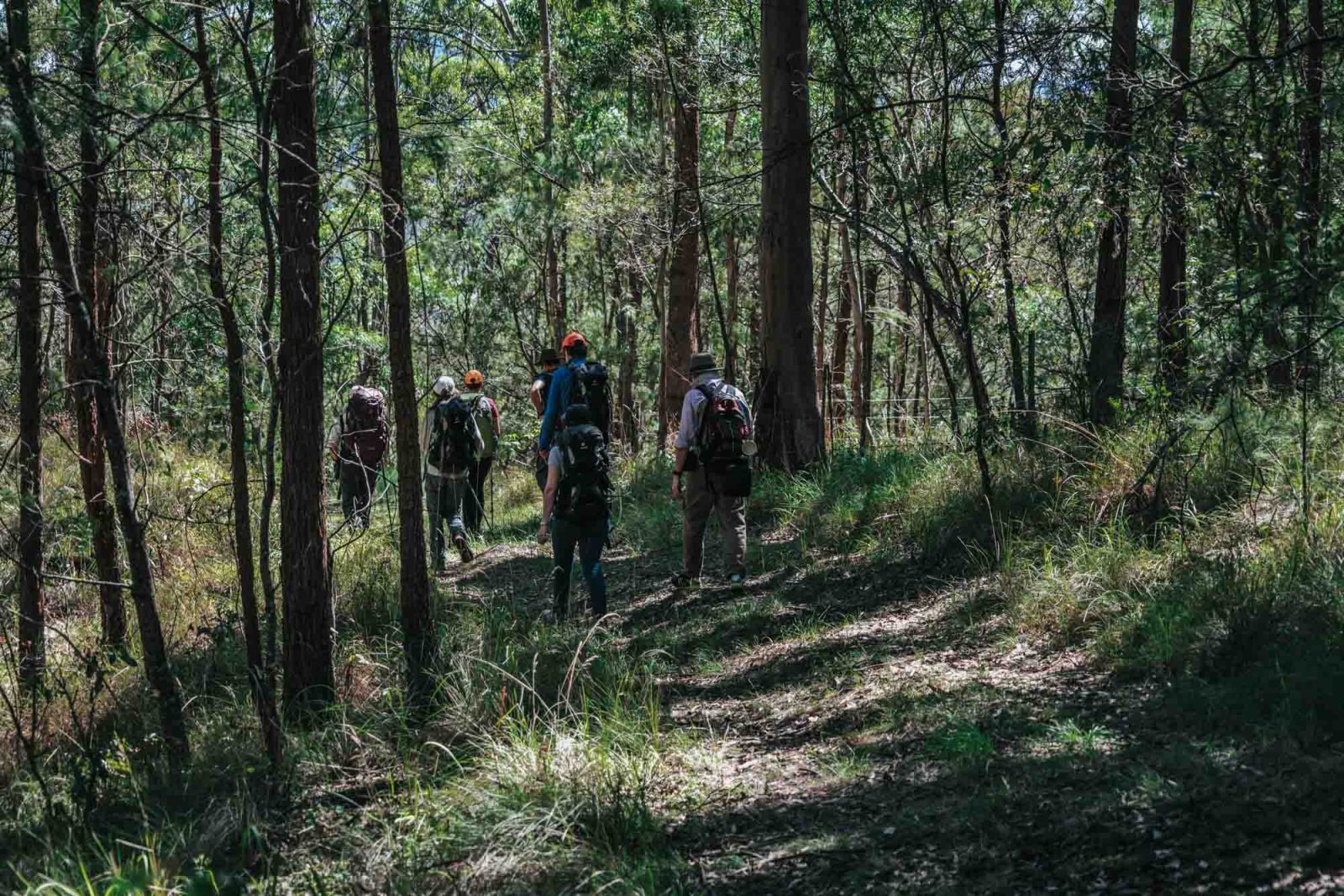 A part of our scenic rim walk