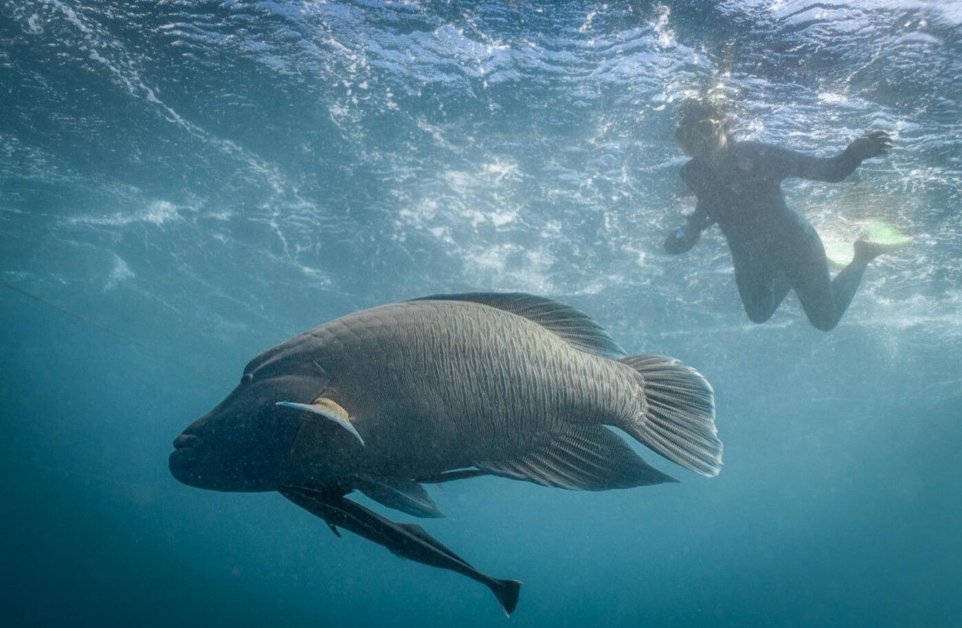 Australia QLD Whitsundays 06768