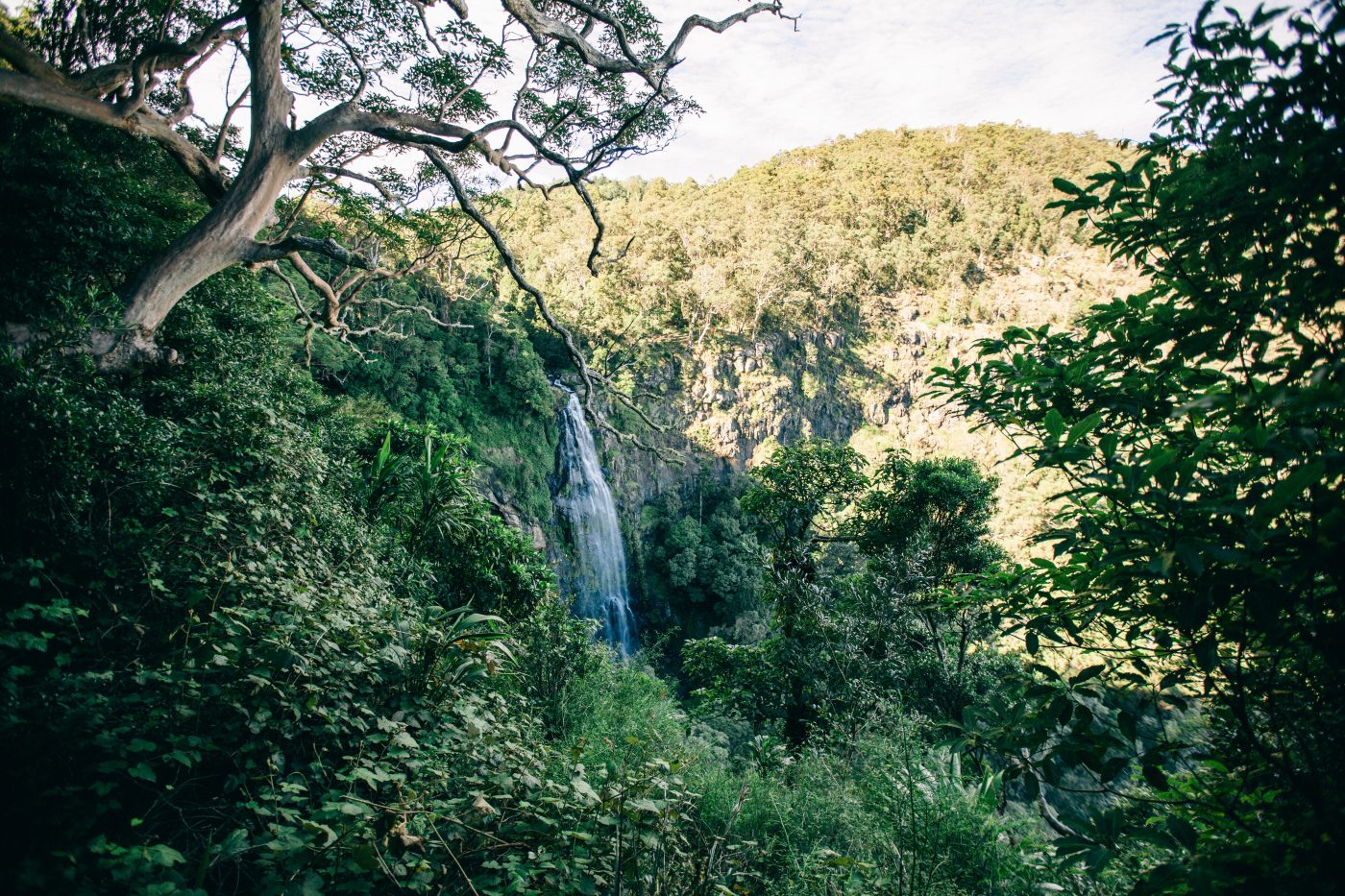 O’Reilly’s, Lamington National Park