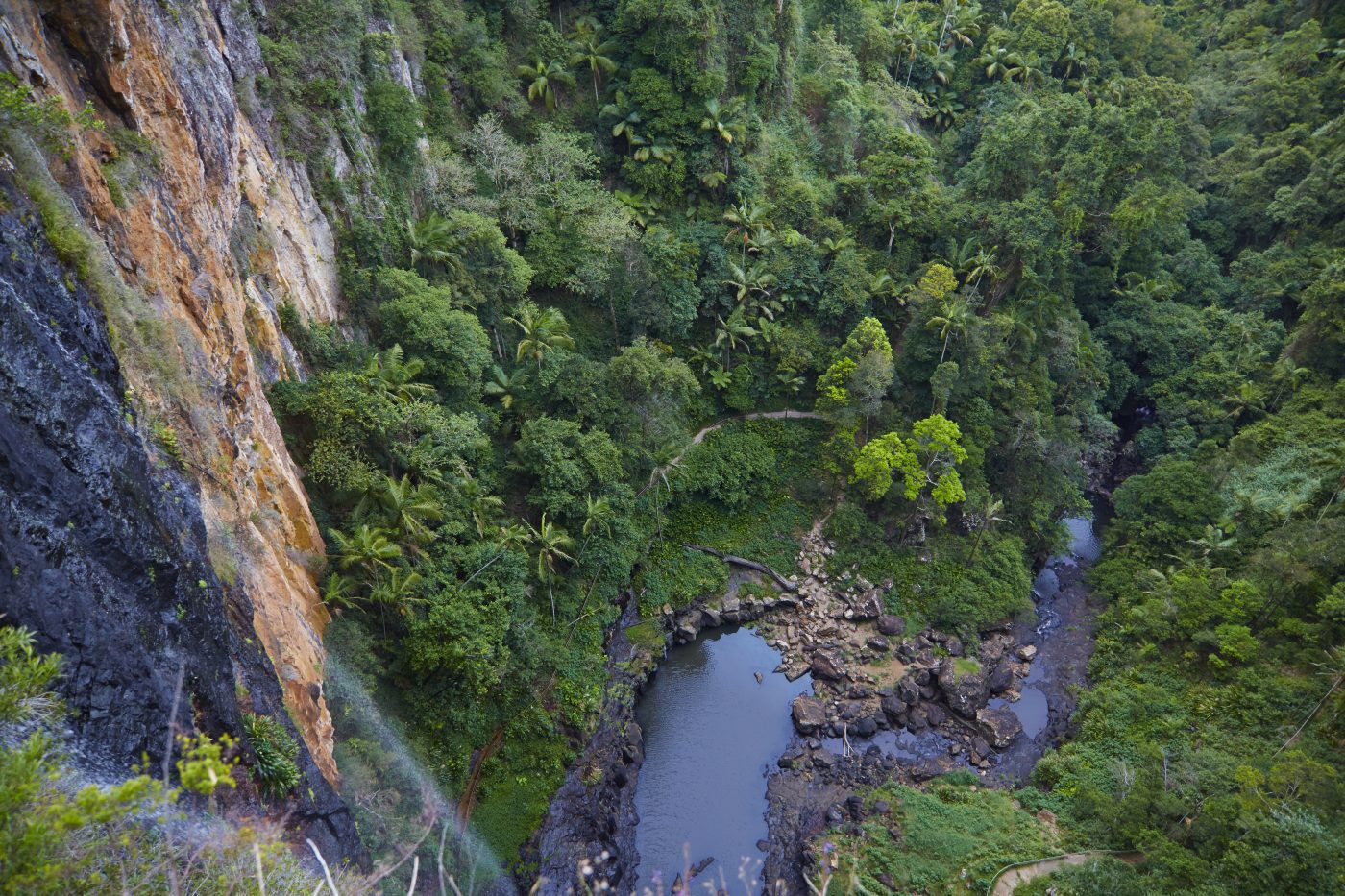 Springbrook National Park, QLD. Photo courtesy of Tourism Australia