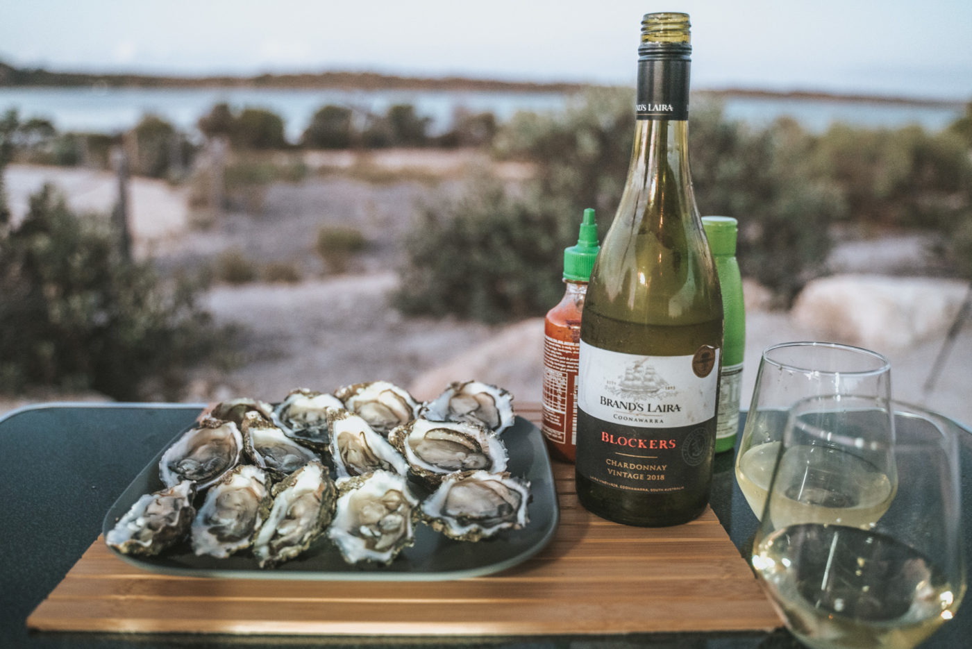 Australia SA Eyre Peninsula Coffin Bay National Park Yangie Bay oysters wine 00223