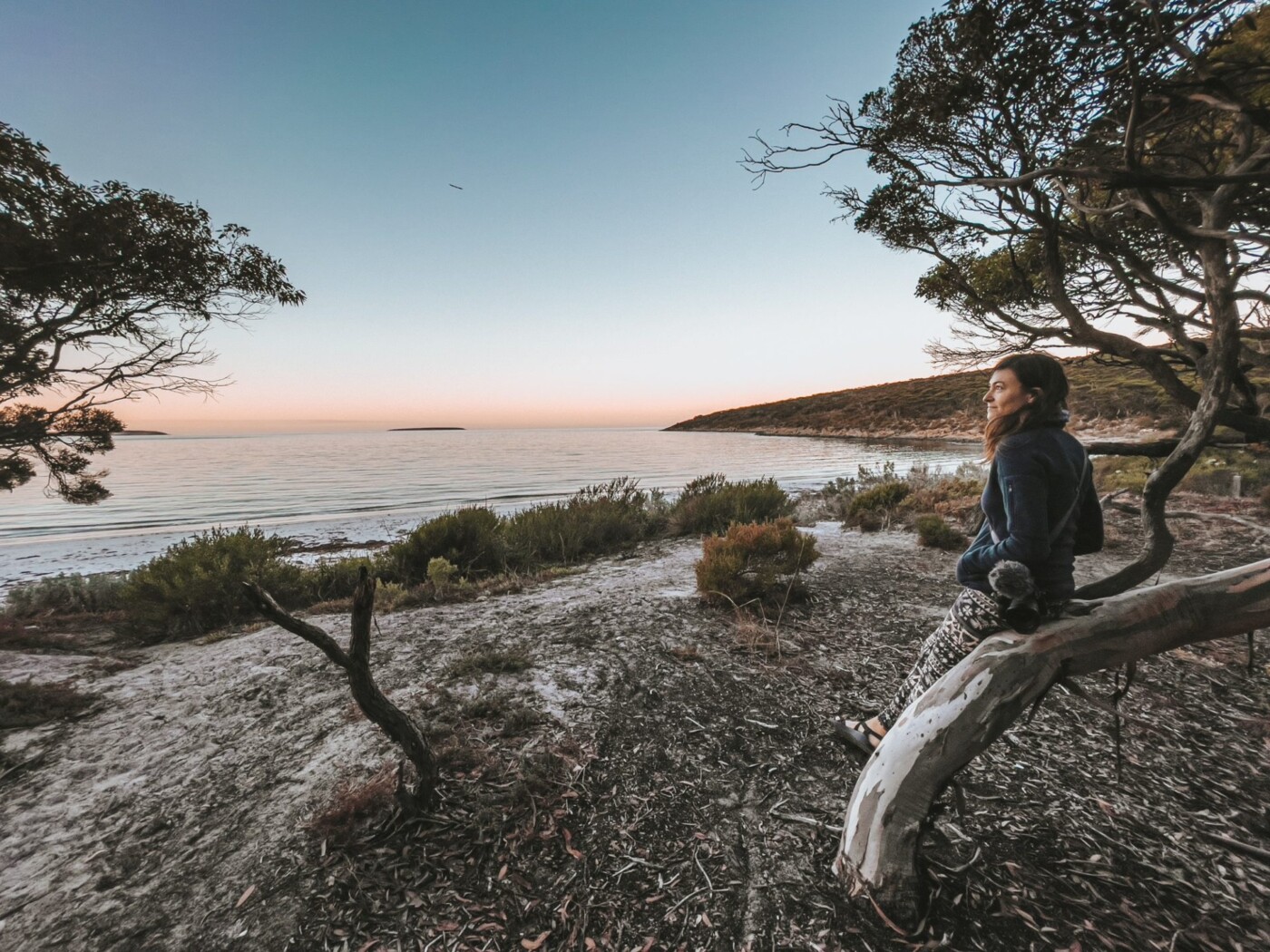 lincoln national park