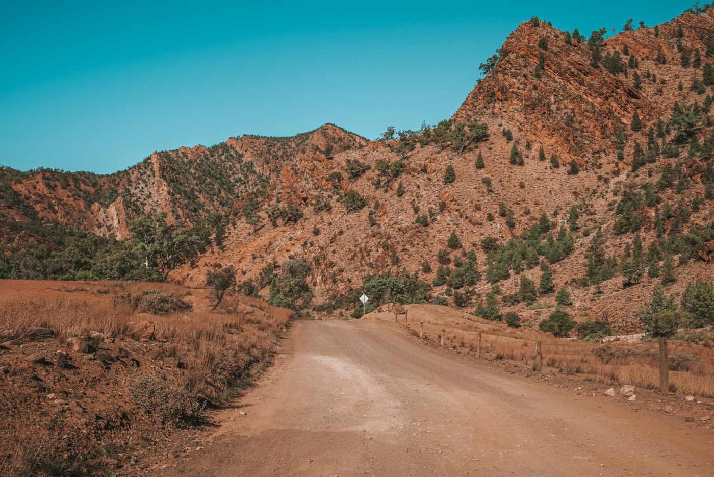 Bunyeroo Gorge, Flinders Ranges National Park