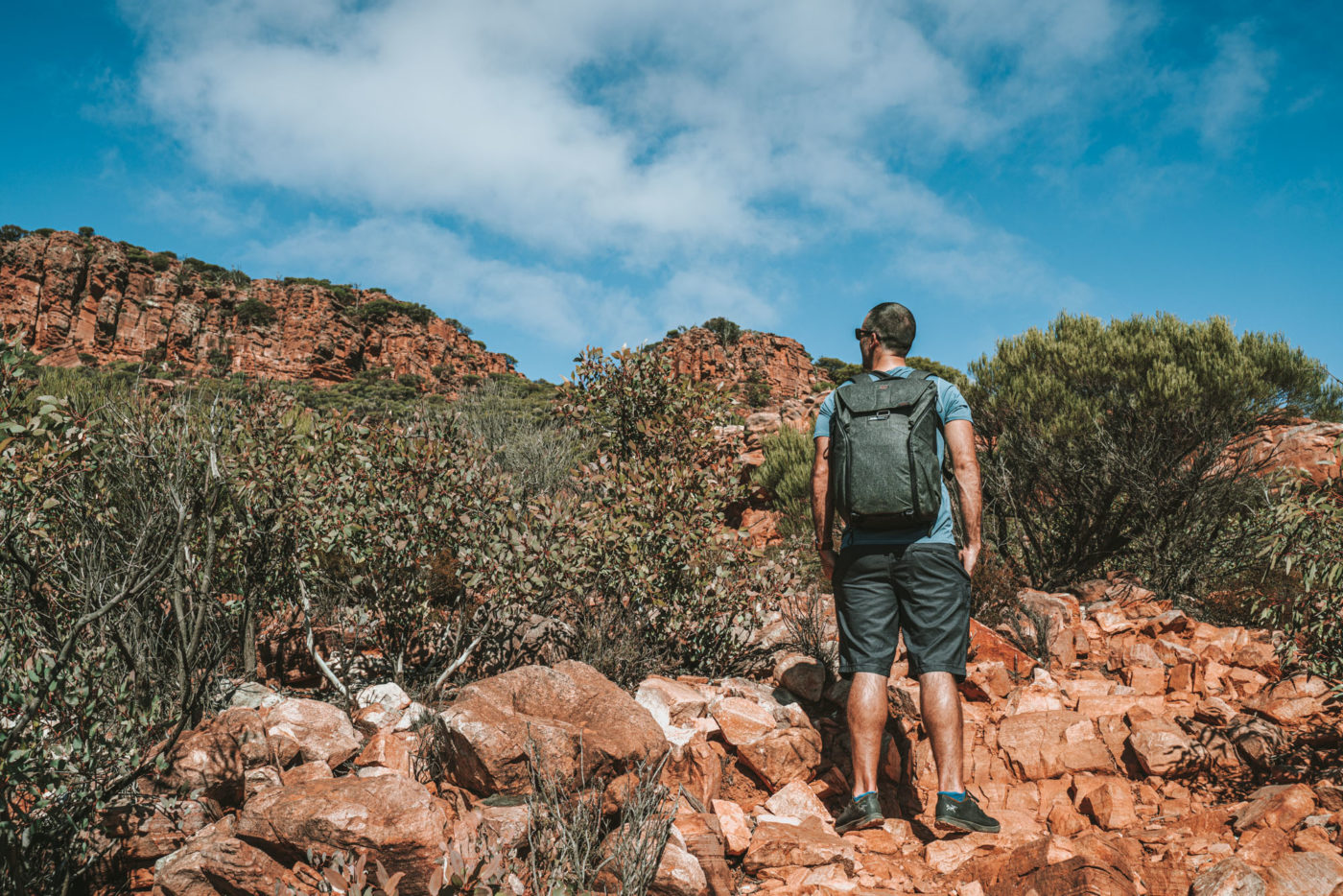 Australia SA Flinders Ranges Mt Ohlssen Bagge Max hike 04391