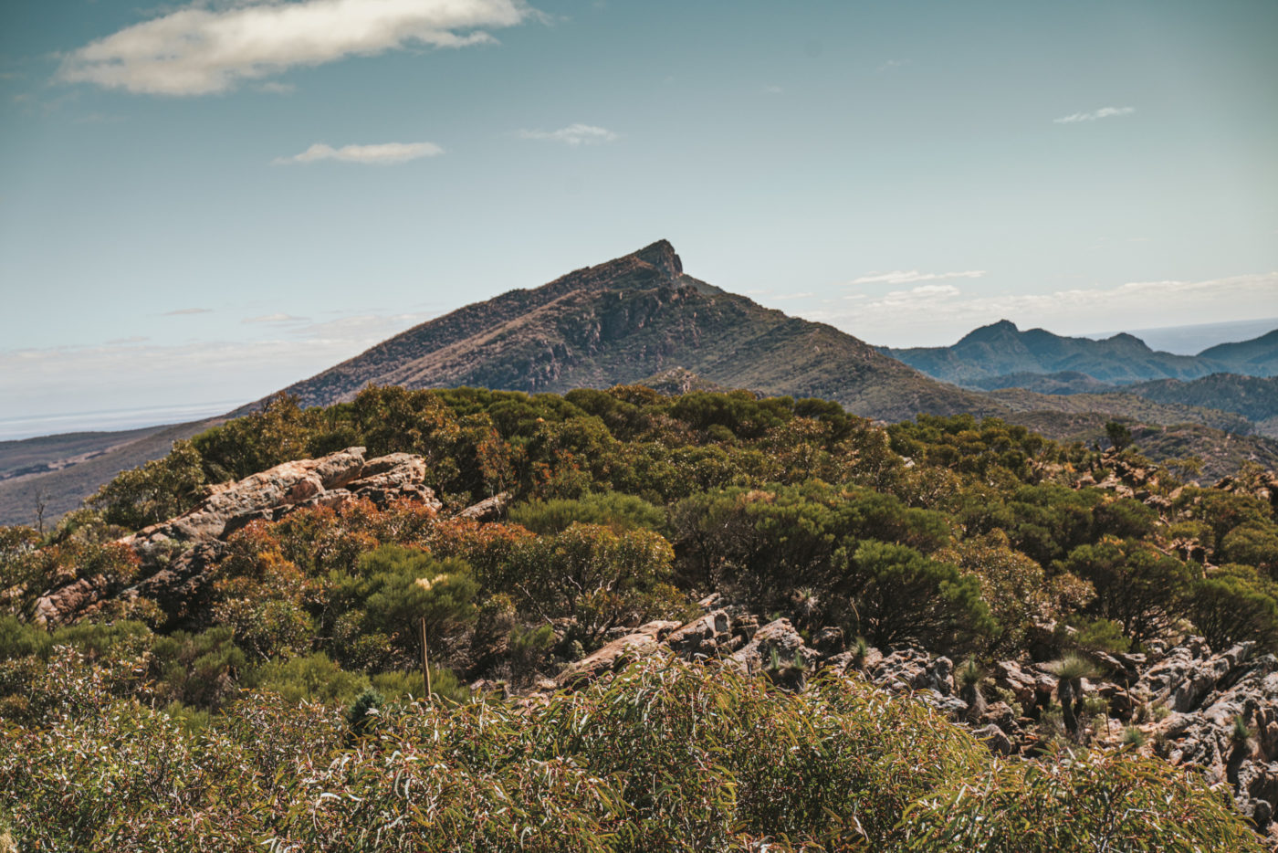 Australia SA Flinders Ranges St Mary Peak 04400