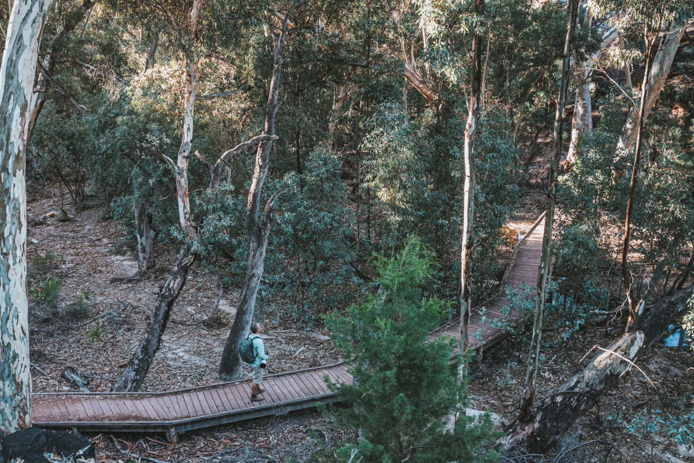 Wilpena Pound Trail