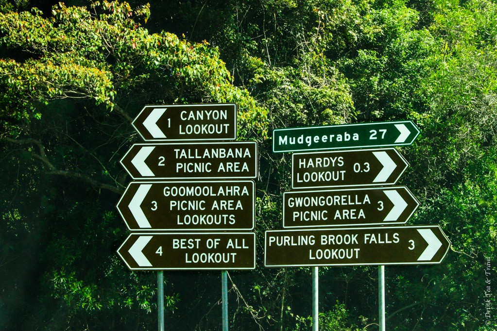 So many options at Springbrook National Park! Where do you even start?