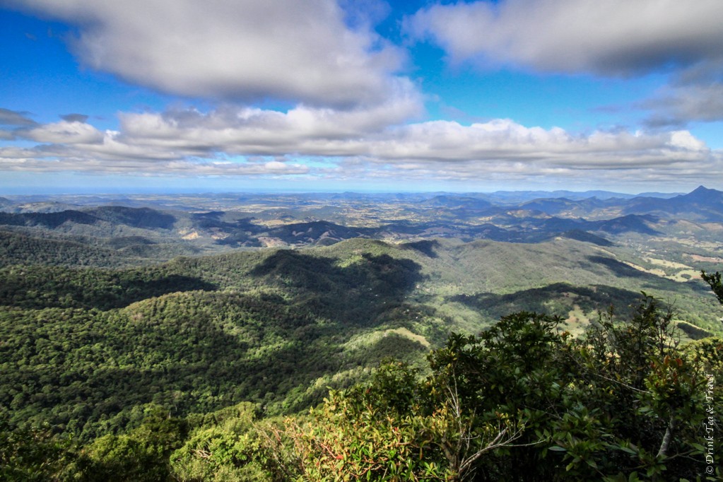 Springbrook National Park