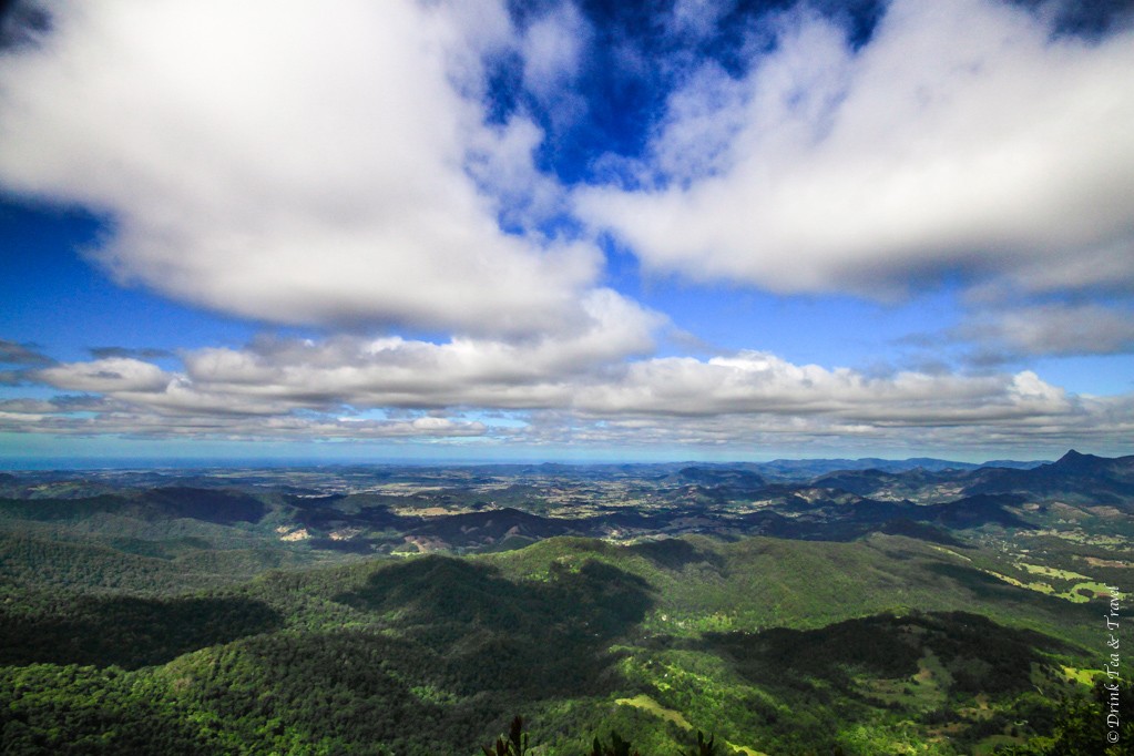 Springbrook National Park