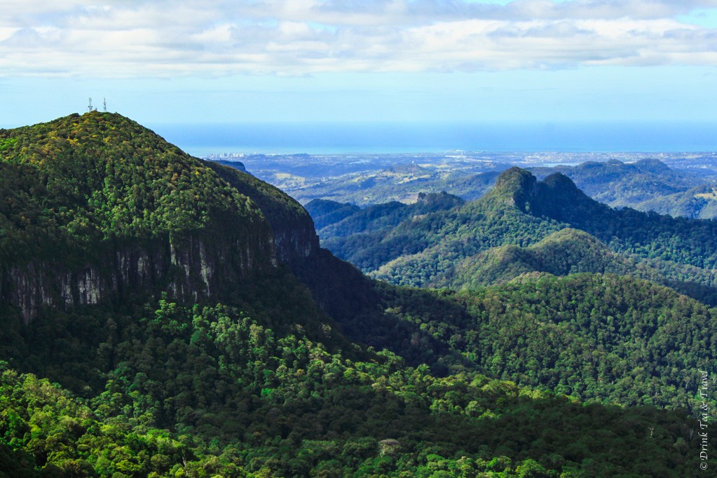 Views from the Best of All Lookout, Springbrook National Park