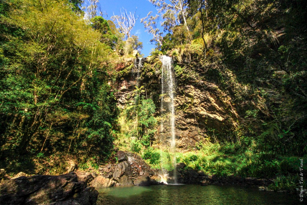 Trip to Australia cost: The beautiful Twin Falls, Springbrook National Park