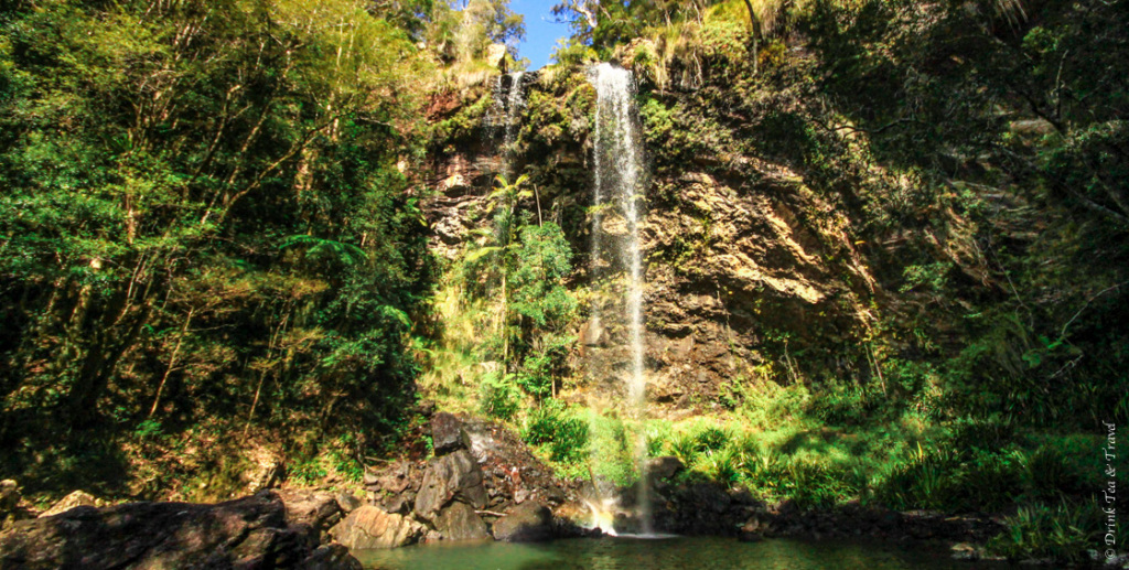 Springbrook National Park, one of the best day trips from Brisbane