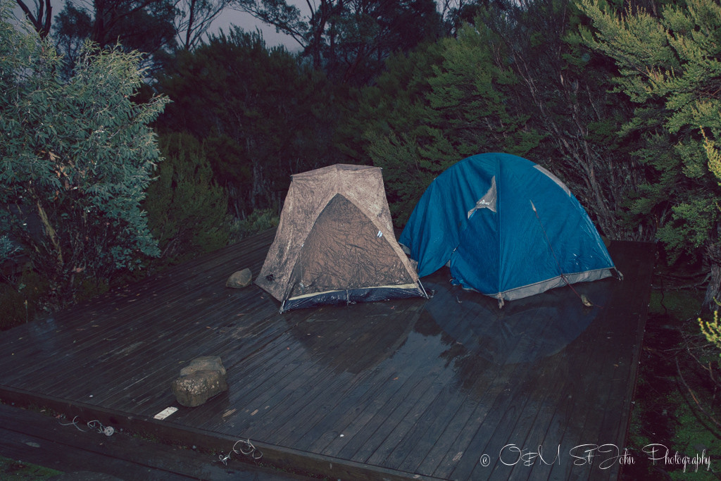 Tucked away in our tents at the Wild Dog Creek campsite. Walls of Jerusalem National Park