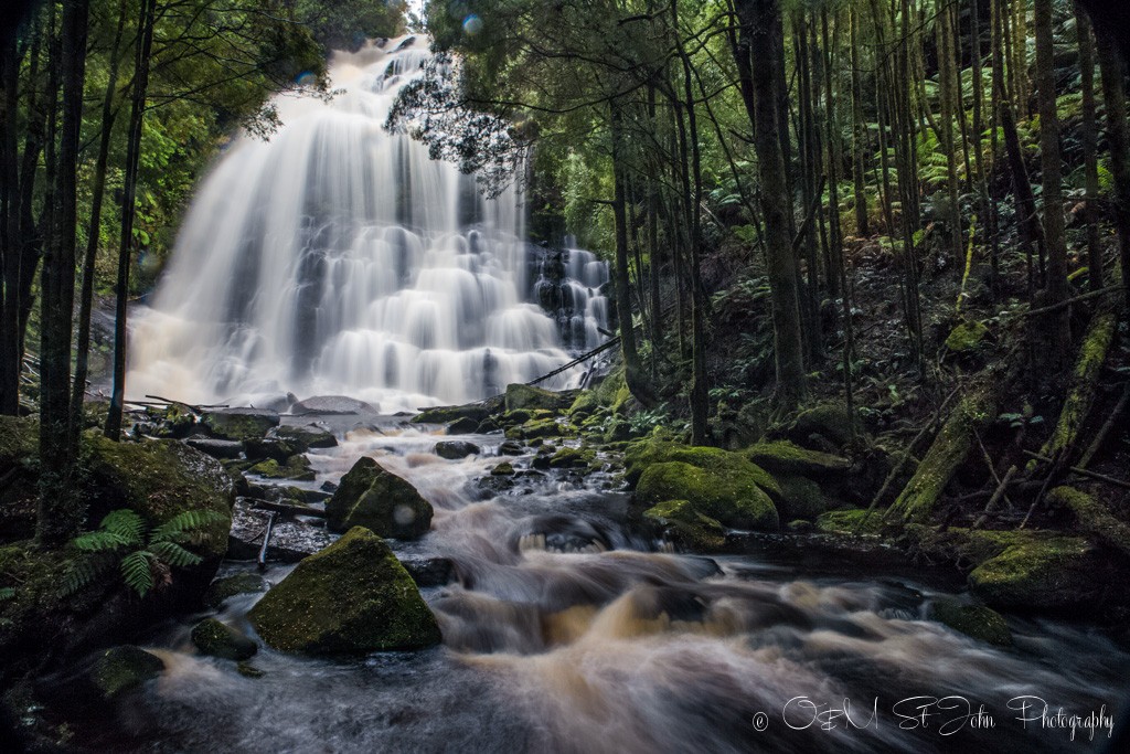 Nelson Falls, a cascade waterfall, located in the UNESCO World Heritage–listed Tasmanian Wilderness, in the West Coast region of Tasmania.