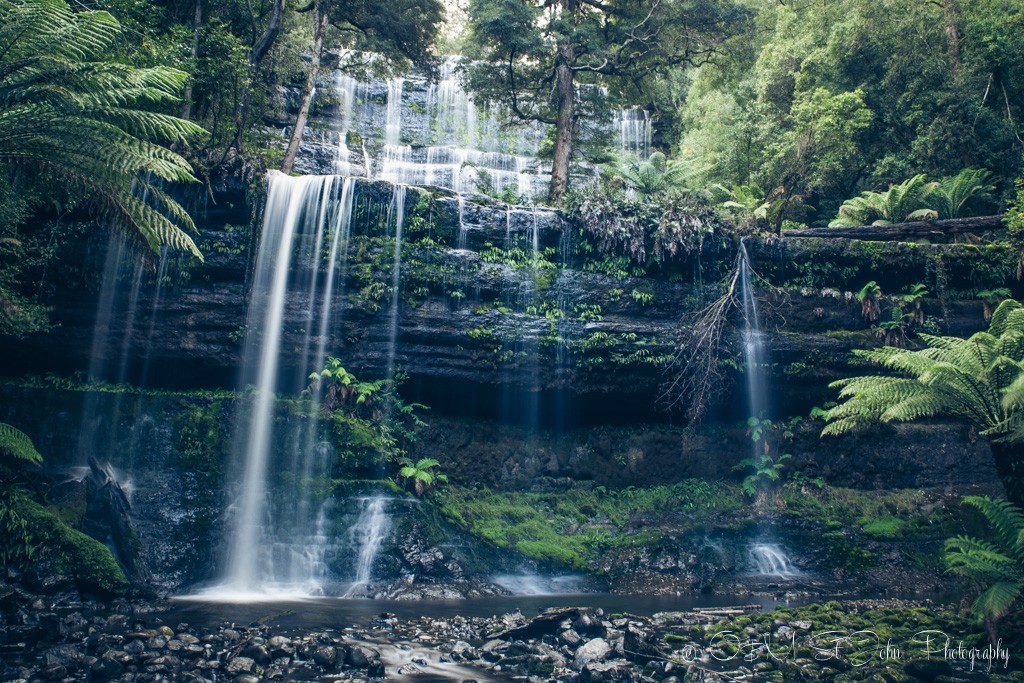 best places to visit in tasmania: Russell Falls, Mt Field National Park, Tasmania