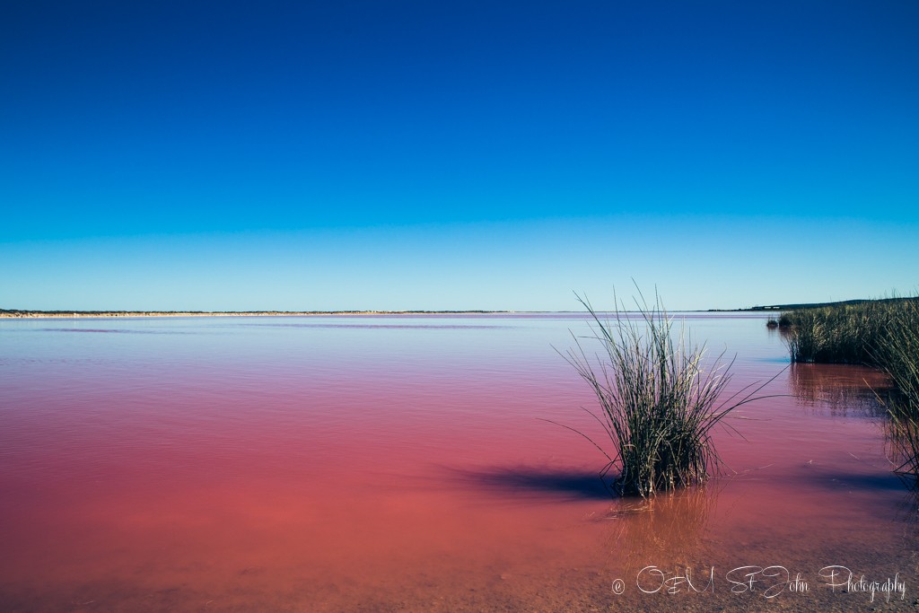 Western Australia itinerary: Pink Lake. Hutt Lagoon. Western Australia