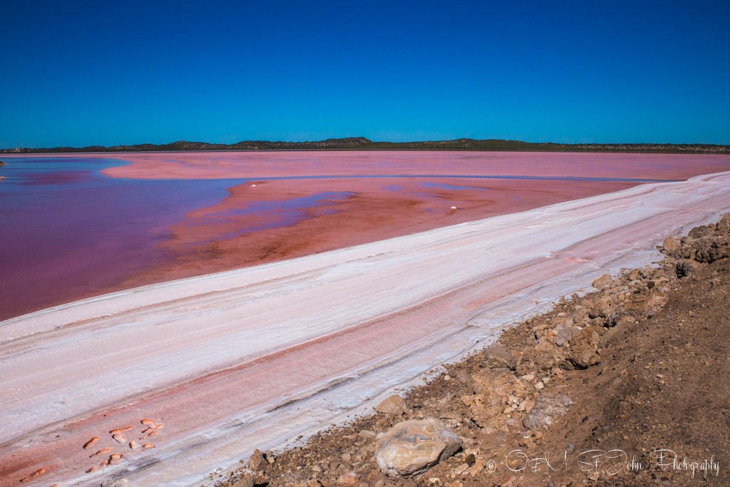 Western Australia itinerary: Hutt Lagoon meets the shore forming a layer of hard white foam on the surface. Pink Lake. Western Australia 