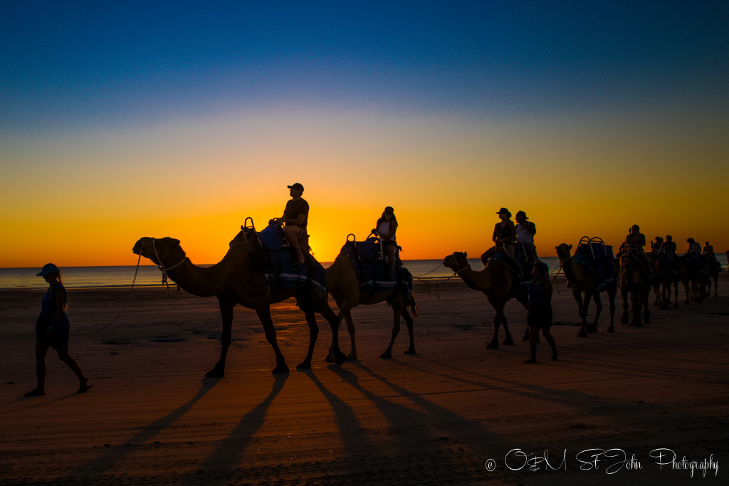 Western Australia itinerary: Sunset camel ride on Cable Beach. Broome. Western Australia