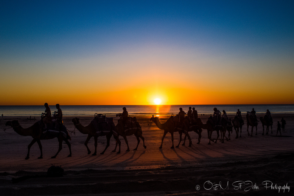 Camel train on Cable Beach. Broome. Western Australia