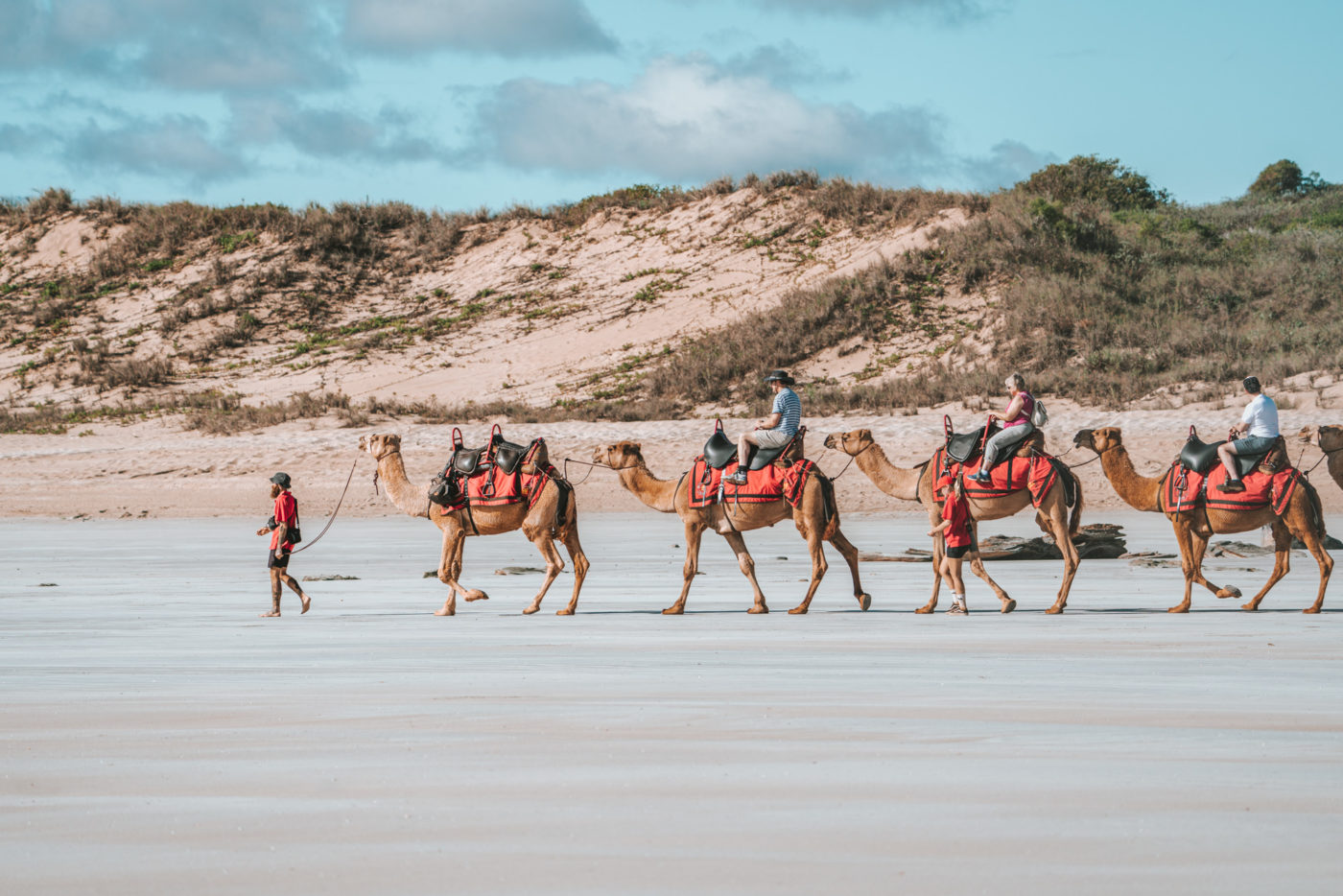 Camel rides on Cable Beach