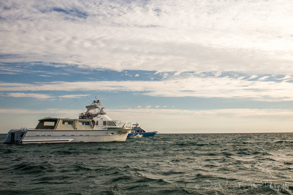 The Magellan patiently awaits our arrival. Exmouth. Ningaloo Reef. Western Australia