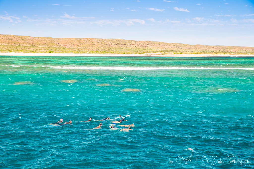 Western Australia itinerary: Last snorkel stop. Ningaloo Reef. Exmouth. Western Australia