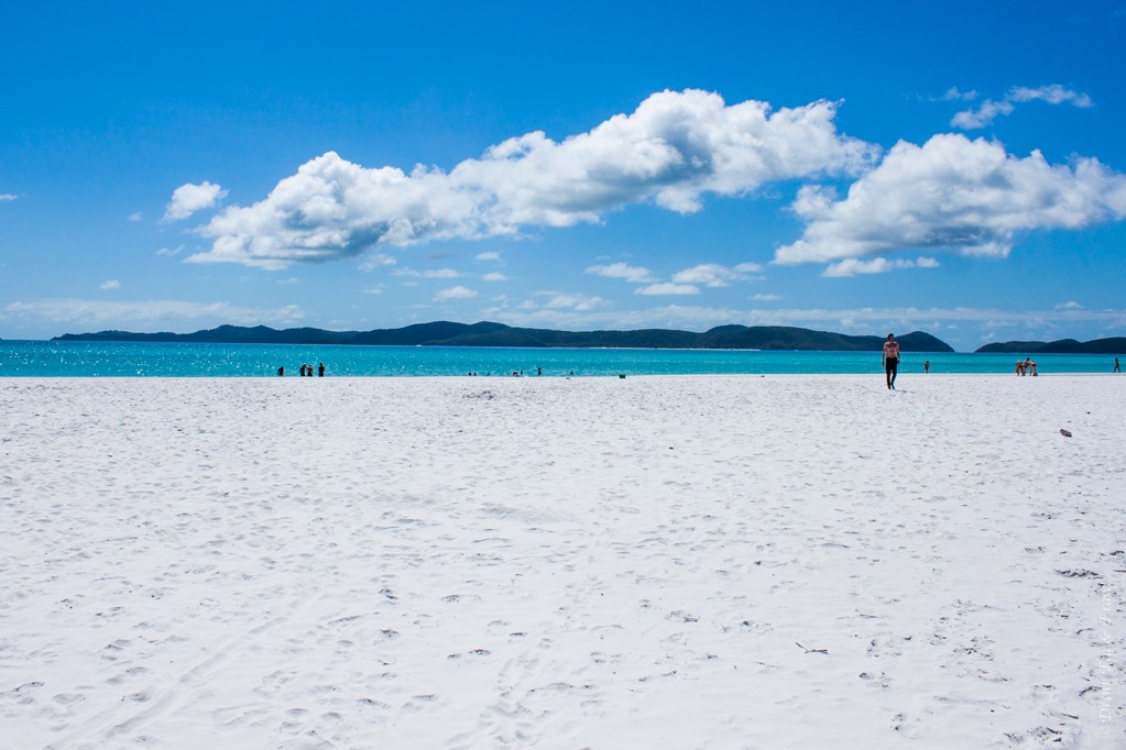 Trip to Australia cost: Whitehaven Beach, The Whitsundays, Australia