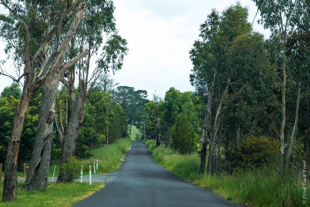 On the way to Yarra Valley