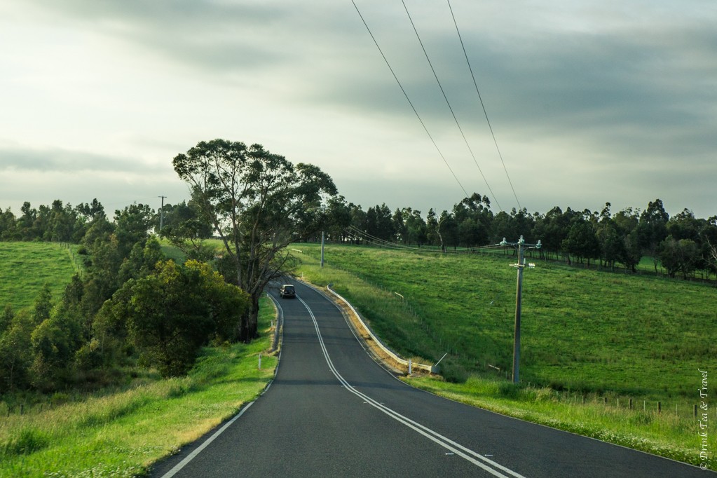 Beautiful drive in Yarra Valley