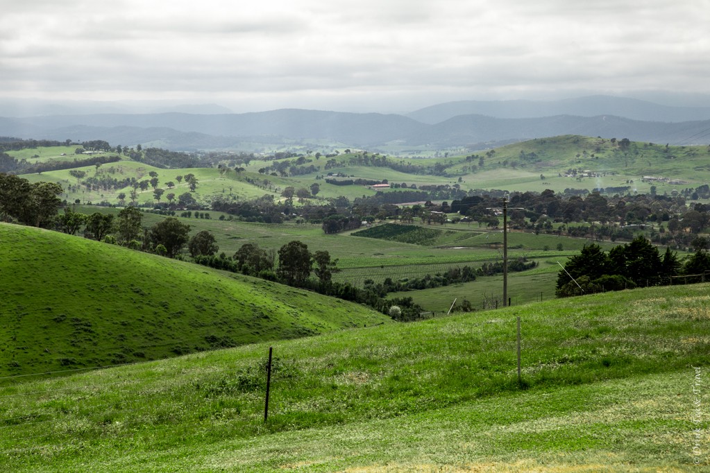 Beautiful views of Yarra Valley