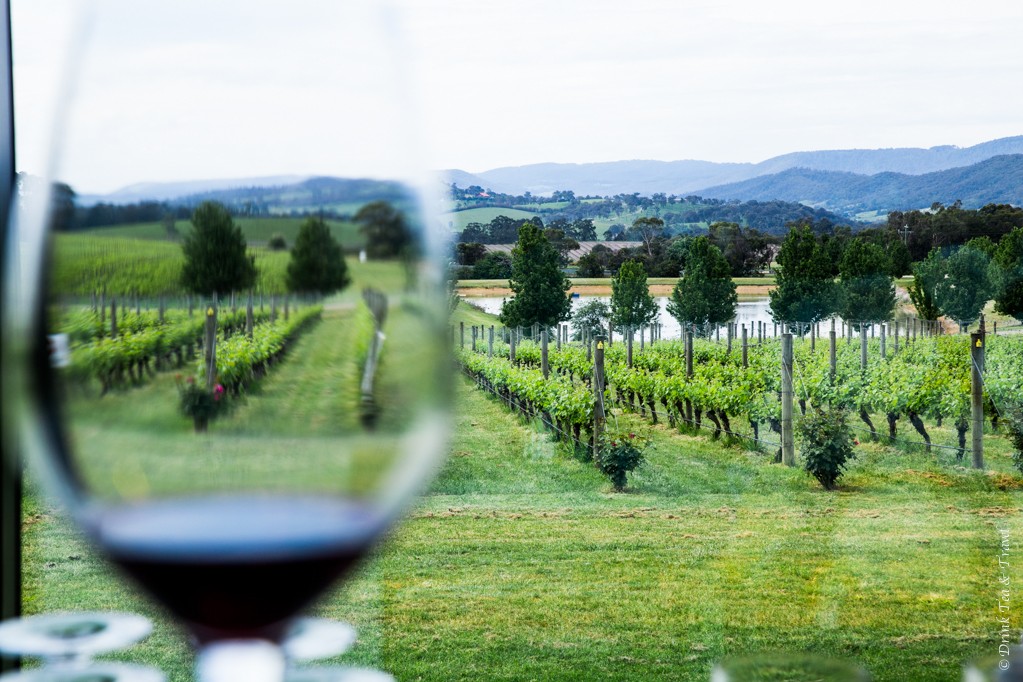 The Best Yarra Valley Wine Tours and beyond